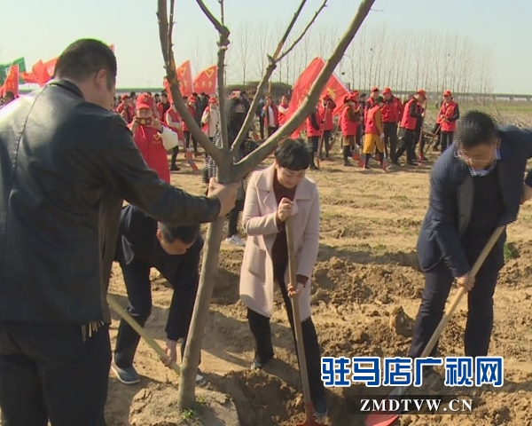 西平县举行大型植树活动暨青年林揭牌仪式