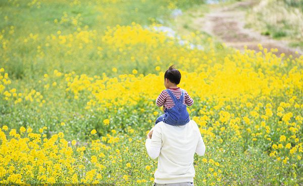 天气晴好 市民走出家门感受浓浓春意