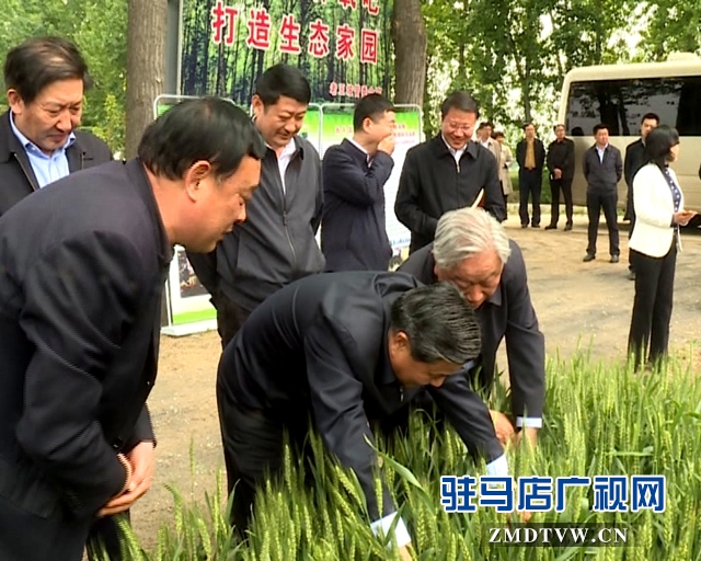 武国定一行到驻马店调研小麦赤霉病统防统治工作