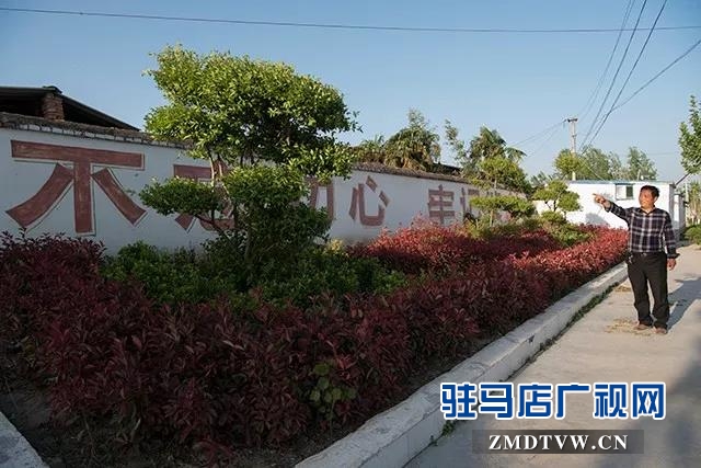 康建华：兴村富民领头雁 实事办了一串串