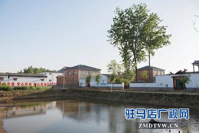 10 康建华：兴村富民领头雁，实事办了一串串！.jpg