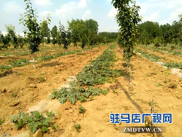 霍国启：生态农场里的“唠叨”汉子 