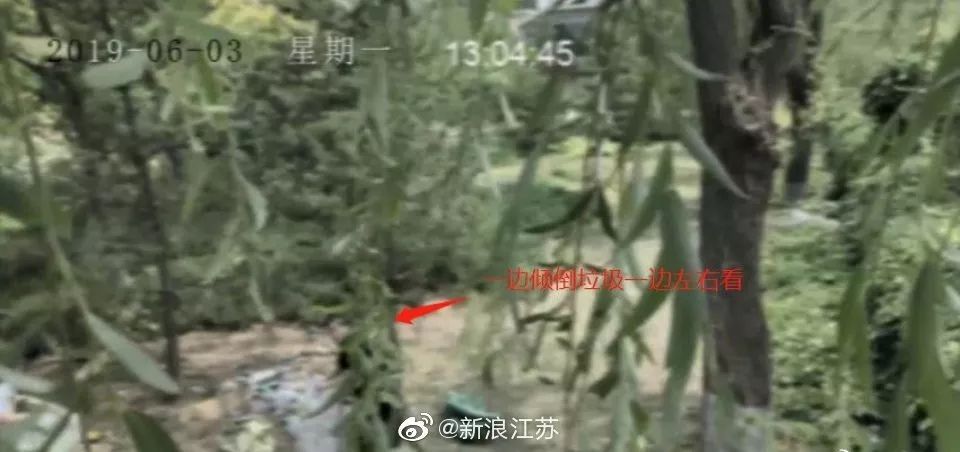 新时代的网红靠什么才能“躺赢”？ 