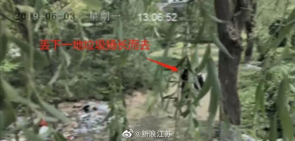 新时代的网红靠什么才能“躺赢”？ 