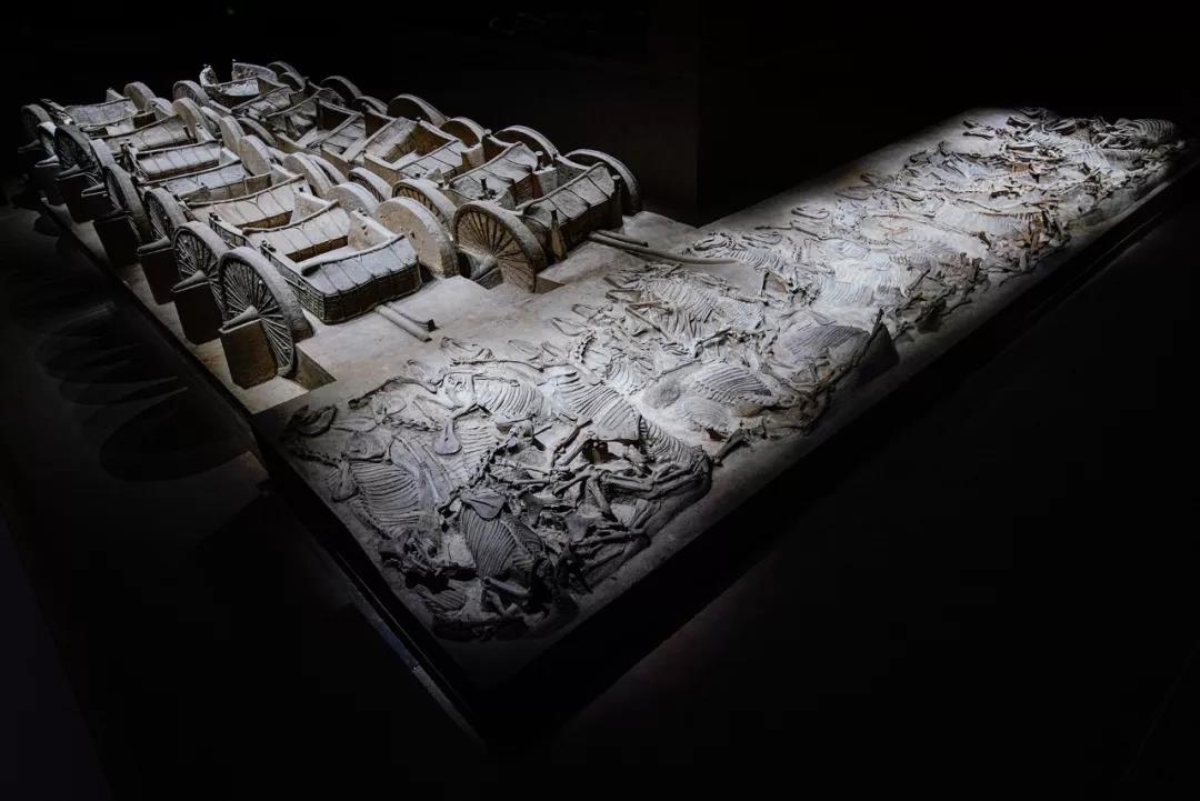 山西青铜博物馆开馆 | 2000余件国之重器从远古睡梦中醒来，青铜变王者 