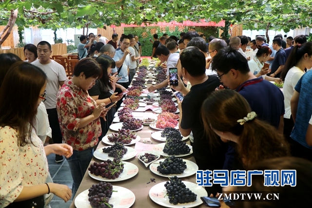 河南省第四届葡萄品鉴观摩暨产业创新发展论坛在驻马店举行