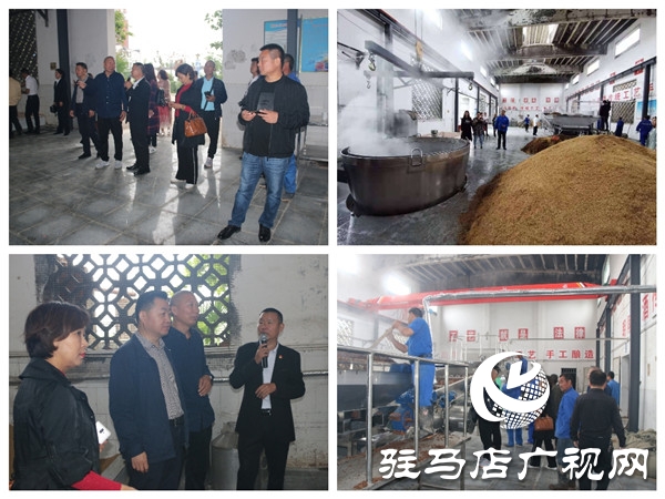 朗陵原酒压排度夏150天发酵期开窖酿酒当日喜迎许昌市客商参观考察