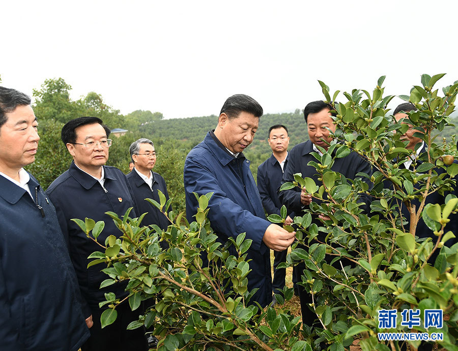 习近平在河南考察时强调 坚定信心埋头苦干奋勇争先 谱写新时代中原更加出彩的绚丽篇章