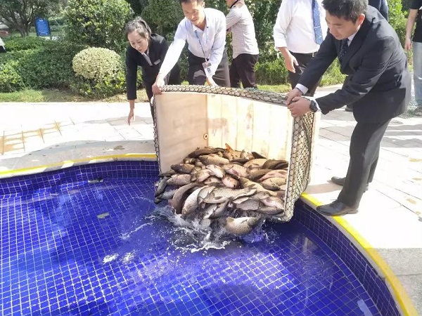 “缤纷夏日，鱼乐无限”碧桂园清月湾业主活动圆满结束！