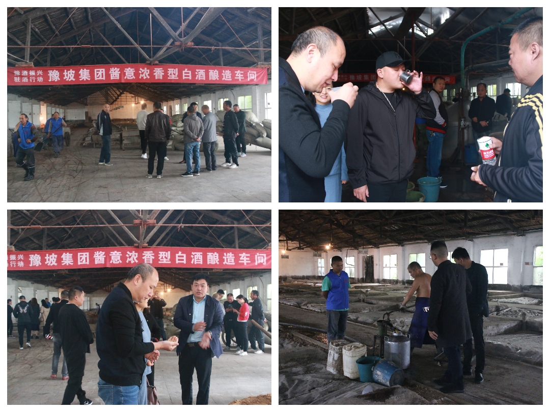 近50名企业家走进豫坡集团观摩考察并在首届中原种酒文化节到来之际率先“抢酒”