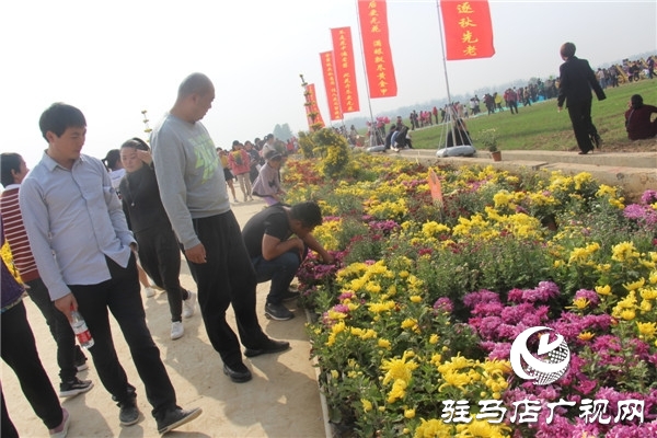 新蔡县关津乡首届菊花节开幕