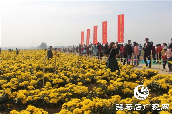 新蔡县关津乡首届菊花节开幕