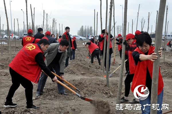 正阳县开展秋冬添新绿义务植树活动