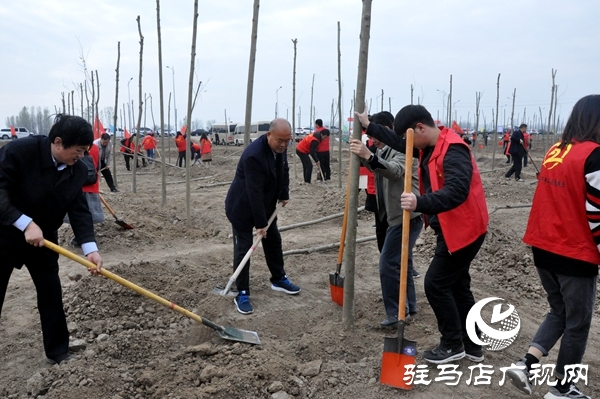 正阳县开展秋冬添新绿义务植树活动