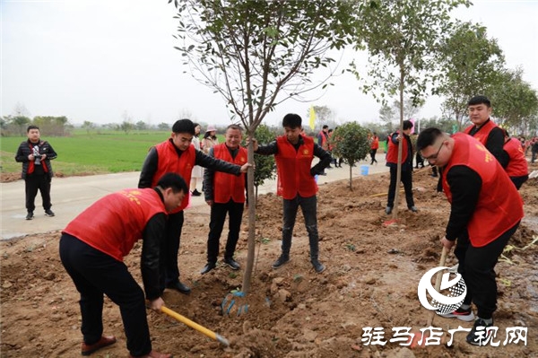 开发区冬季义务植树活动隆重举行