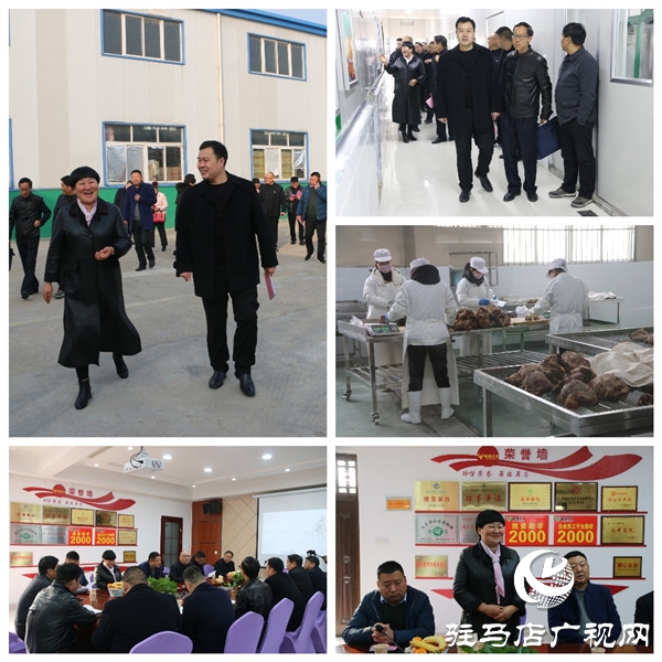 驻马店市食品工业协会30余名会员企业家深入确山县、泌阳县6家会员企业观摩走访