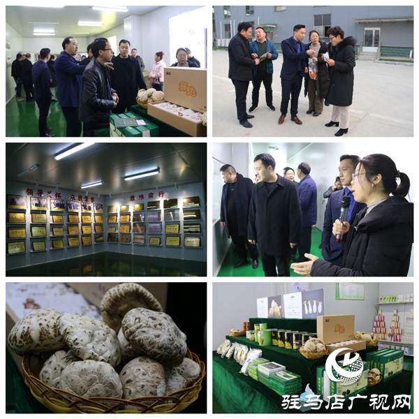 驻马店市食品工业协会30余名会员企业家深入确山县、泌阳县6家会员企业观摩走访