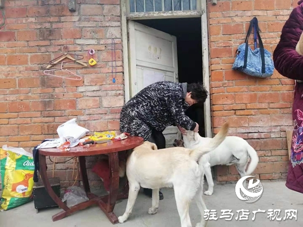 驻马店市有了爱心宠物救助站