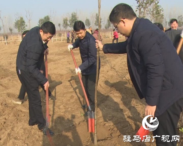 西平县冬季植树造林再掀新热潮