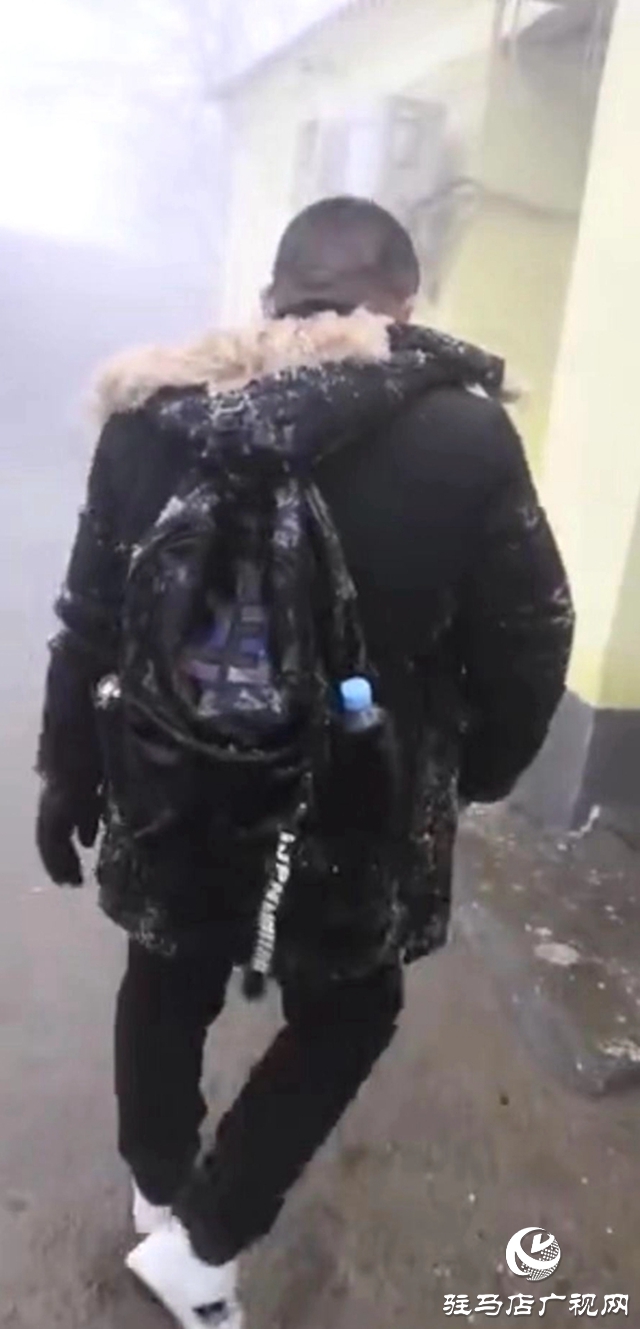 下雪了！驻马店市迎来2020年第一场雪！