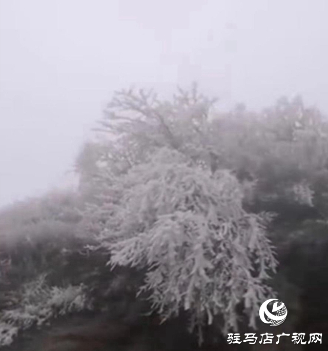 微信图片_20200106174149.jpg