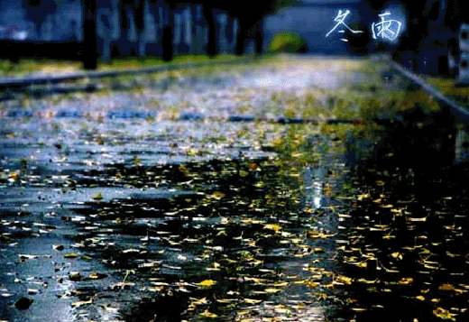 本周雨水多 天较寒  要注意保暖