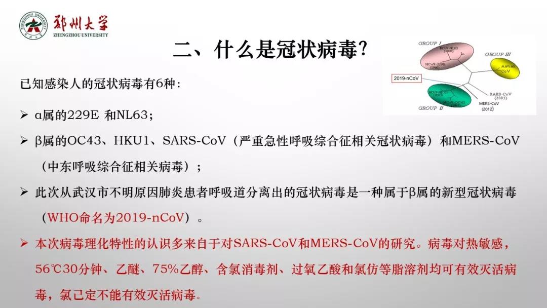 郑州大学新型冠状病毒感染的肺炎疫情防控知识宣传手册（师生第一版）