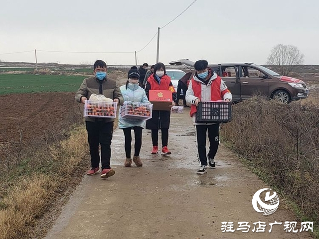 泌阳陈薄地村：“跑跑团”让群众安心居家