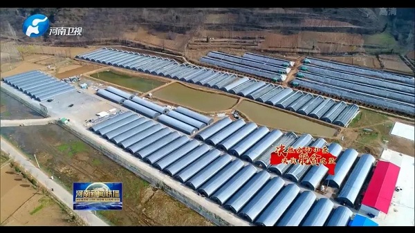 河南53个贫困县全部实现脱贫摘帽 万众一心夺取全面胜利