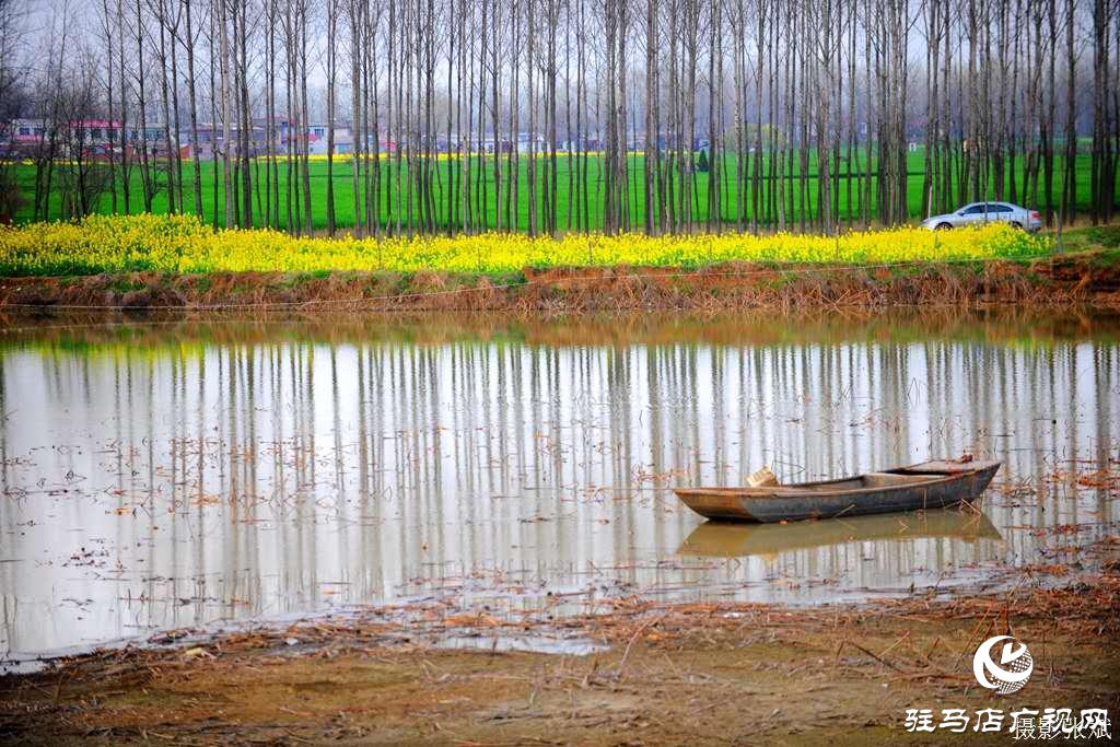 和煦的阳光、湿润的泥土。