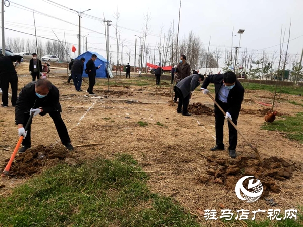 上蔡县黄埠镇70余名干部职工开展义务植树活动