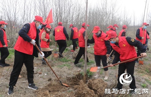 人勤春来早 植树正当时