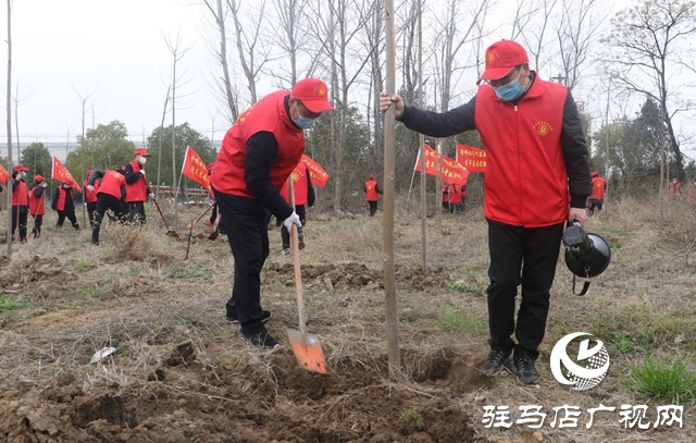 人勤春来早 植树正当时