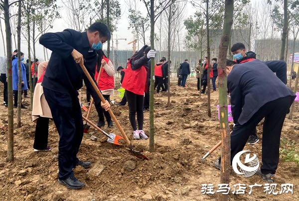 陈星 朱是西等市领导与广大干群一起参加植树造林活动