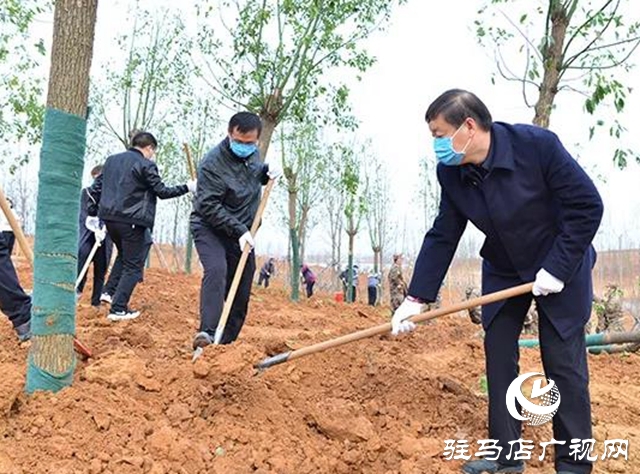 上蔡县四大班子领导参加义务植树活动