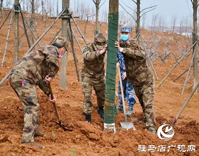 上蔡县四大班子领导参加义务植树活动