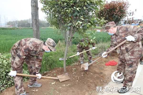 驿城区人武部为帮扶村“披绿”