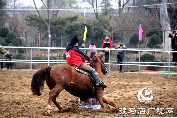 角子山下马场里体验策马奔腾的激情