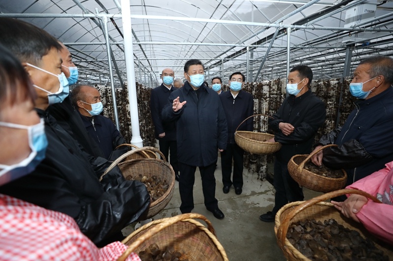 习近平在陕西考察秦岭生态保护情况