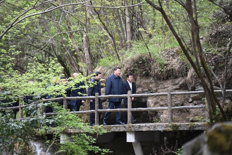 习近平在陕西考察秦岭生态保护情况