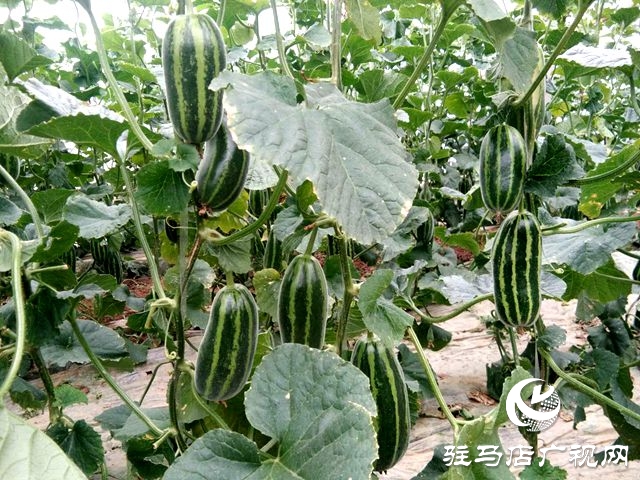 微信图片_20200423103809.jpg