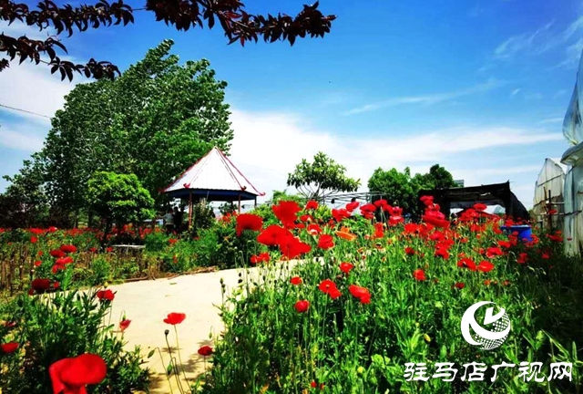余长旺：下岗再创业，成就人生梦