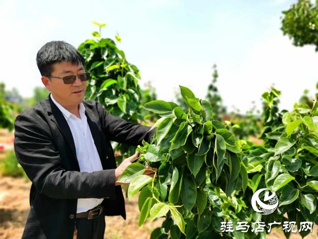 余长旺：下岗再创业，成就人生梦