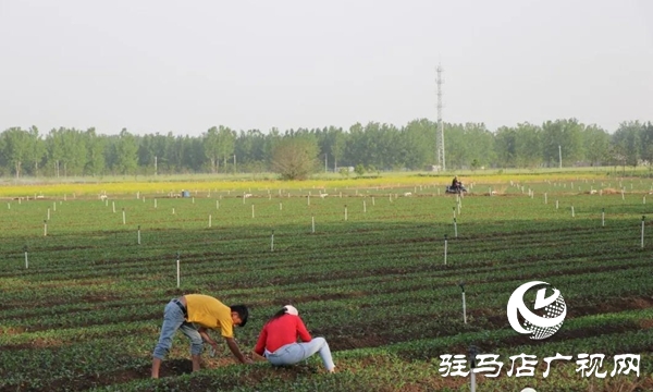 五一劳动节:向坚守岗位的劳动者致敬,你们忙碌的身影最美丽！