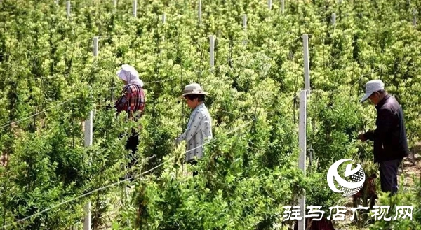 五一劳动节:向坚守岗位的劳动者致敬,你们忙碌的身影最美丽！