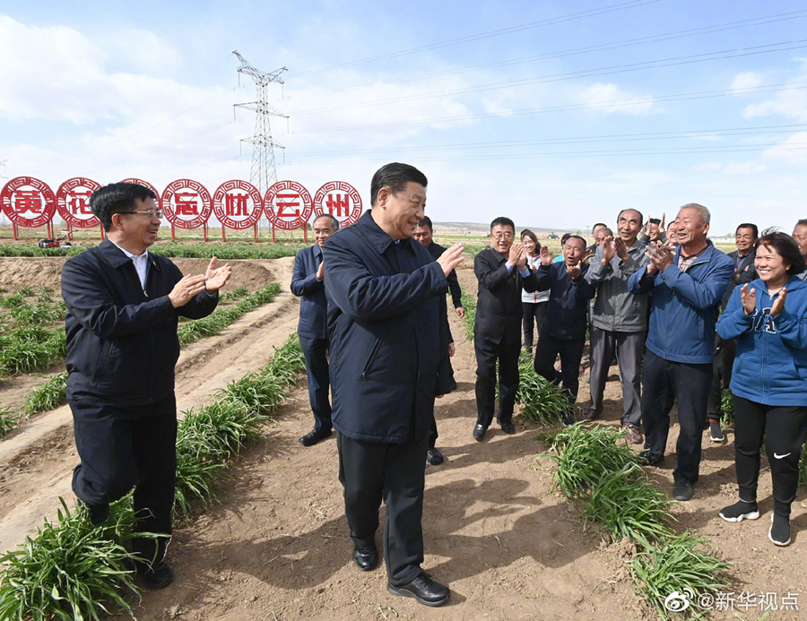 习近平：让黄花成为群众脱贫致富的“摇钱草”