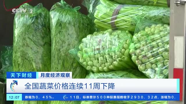 菜价格连续11周下降