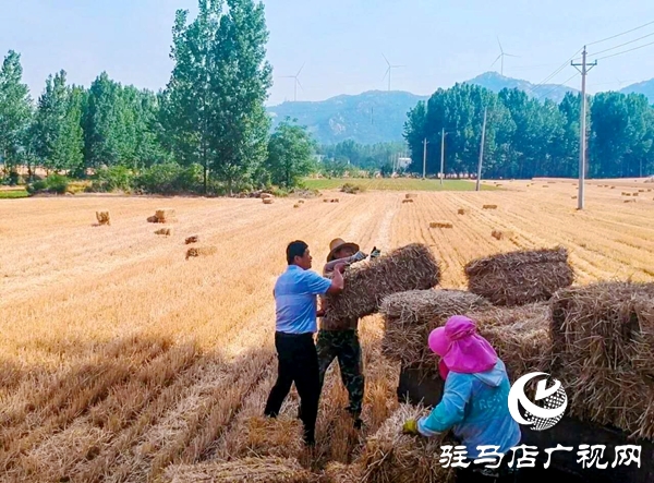 泌阳养殖户陈宏伟：就想让乡亲们有钱赚 有事做