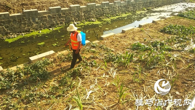 汝南县王岗镇开展河湖破堤种植及非法围垦行为专项整治活动