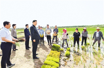 习近平在宁夏考察时强调  决胜全面建成小康社会决战脱贫攻坚继续建设经济繁荣民族团结环境优美人民富裕的美丽新宁夏